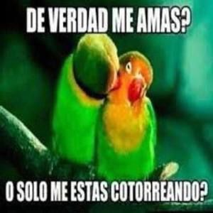 Meet your Posher, Darwin